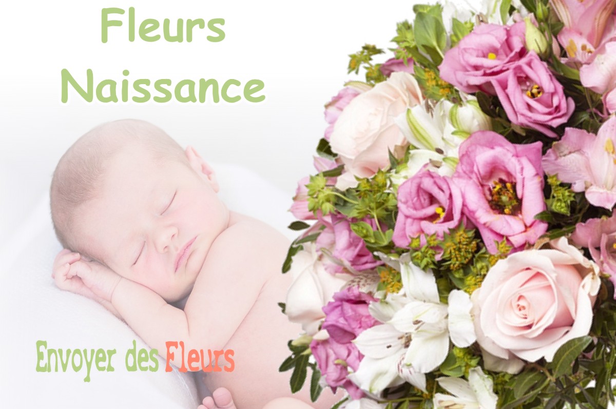 lIVRAISON FLEURS NAISSANCE à RIMPLAS